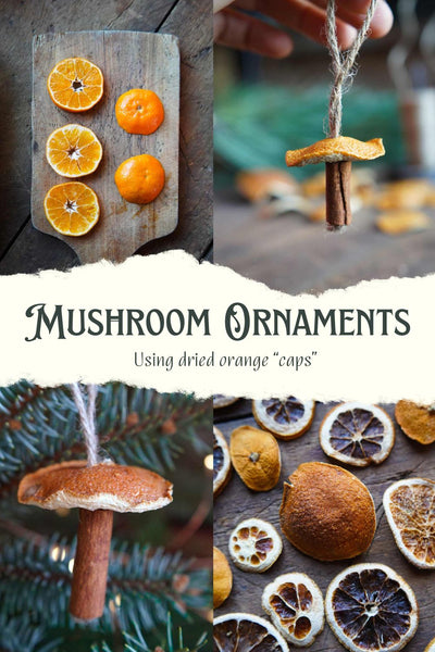 Mushroom Ornaments Using Dried Orange Peel Caps