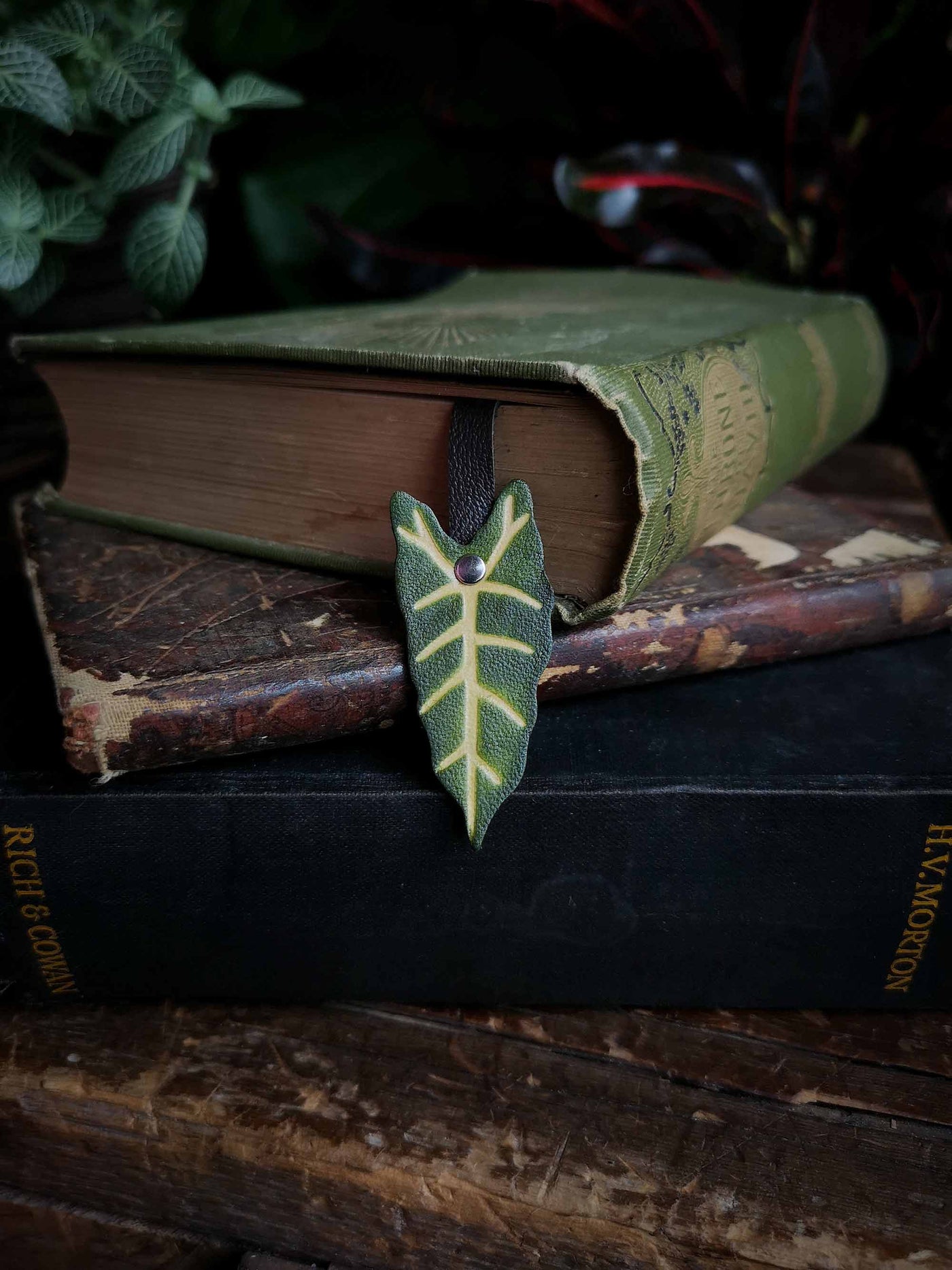 Alocasia Polly Recycled Leather Leaf Bookmark - Large Edition