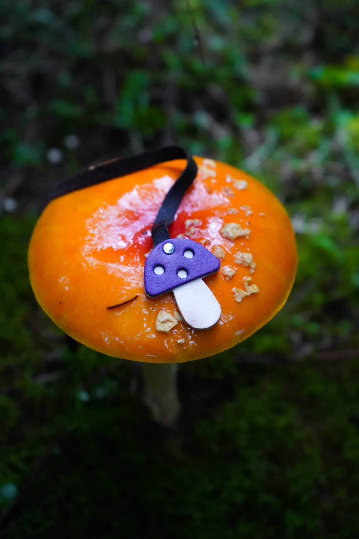 Mushroom Bookmark - Brights