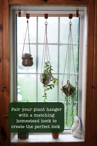 Leather Plant Hangers