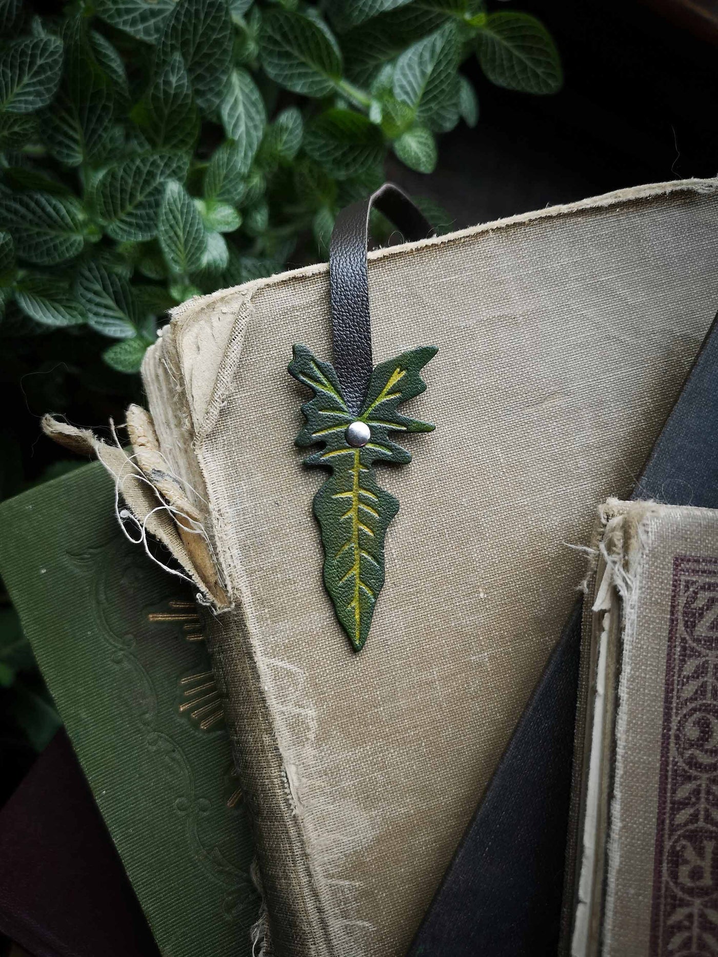 Philodendron Golden Dragon Bookmark - Large Edition